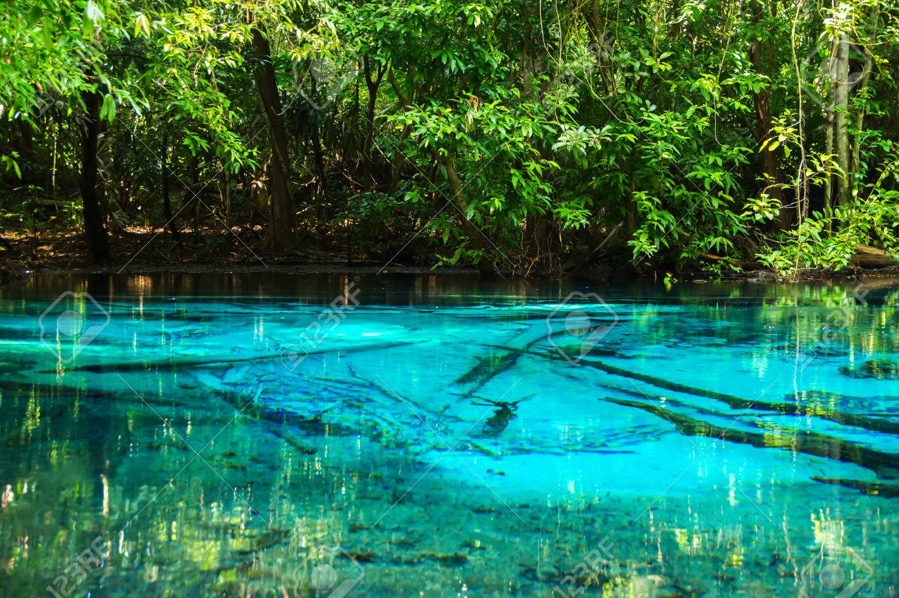 Amazing Nature Blue Pond In The Forest Krabi Thailand Stock Photo Picture And Royalty Free Image Image