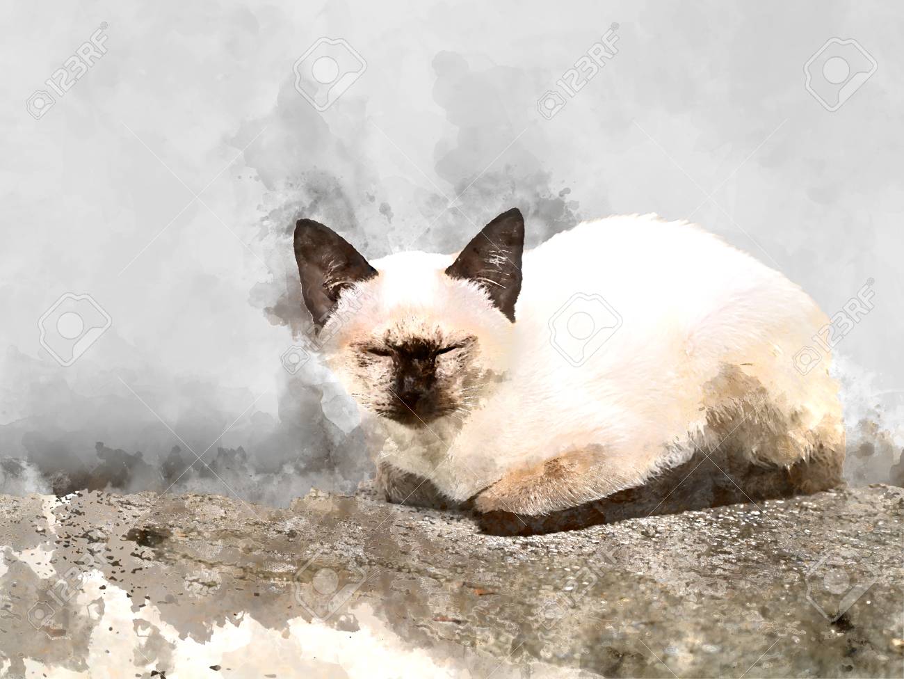 L Image Aquarelle De Bebe Chat Dort Sur Le Sol Banque D Images Et Photos Libres De Droits Image