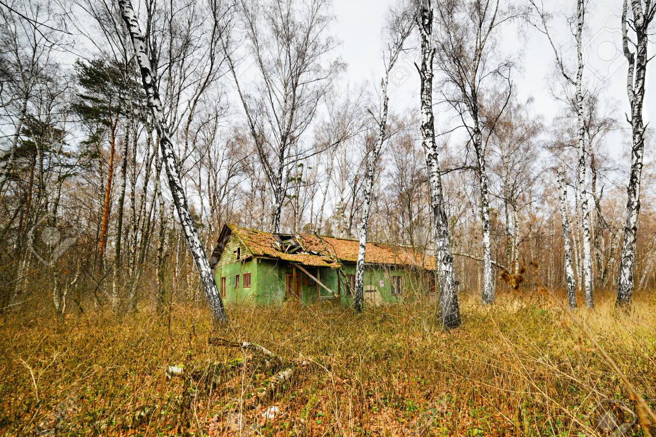 秋の森の廃屋 緑の木造住宅 の写真素材 画像素材 Image