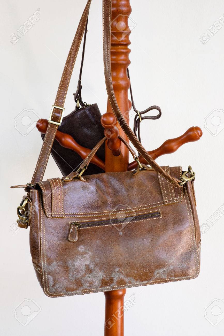 how to remove mold smell from leather bolsa