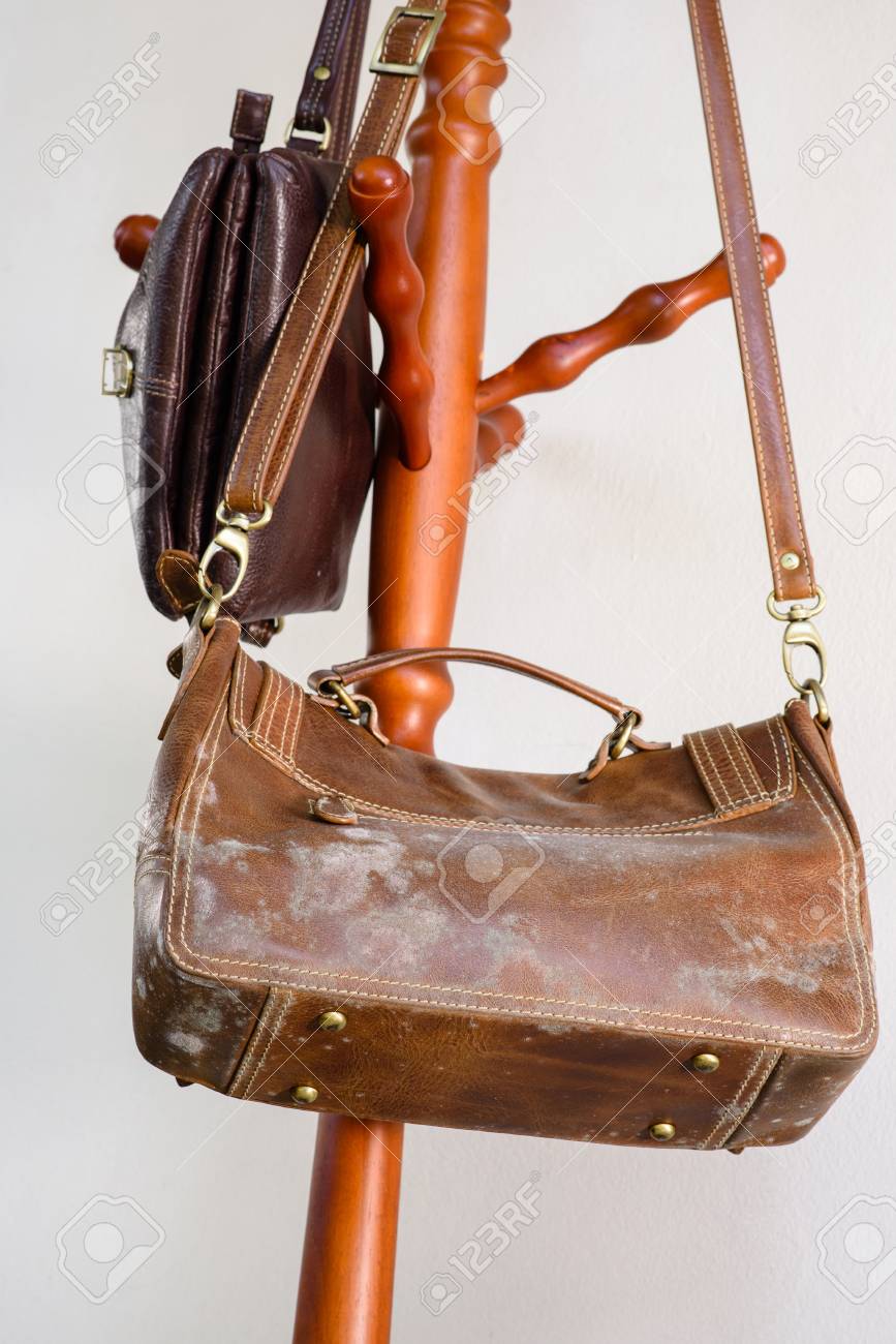how to remove mold smell from leather bolsa