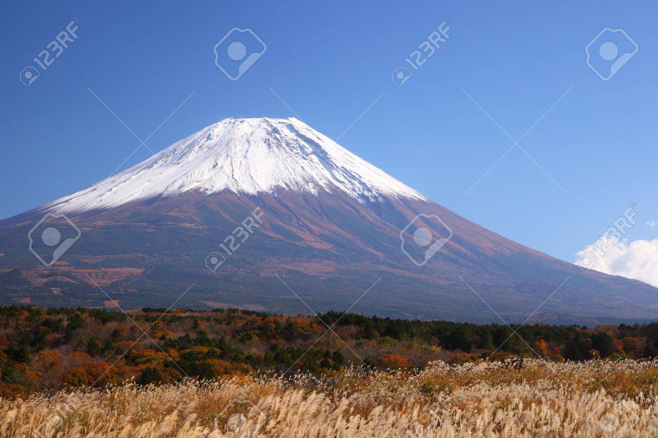 秋 日本で日本のススキと富士山 の写真素材 画像素材 Image