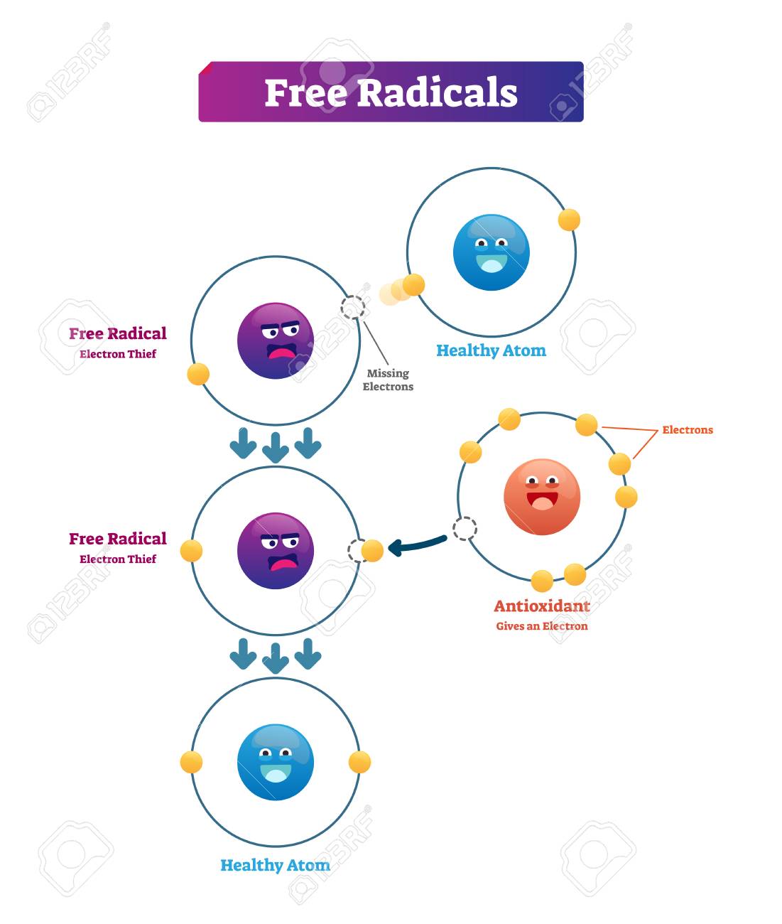 Free radicals, antioxidant and healthy atom explanation vector illustration. Unstable and highly reactive electron donation from molecules as oxidants or reductants. - 109791766 Free radicals, antioxidant and healthy atom explanation vector illustration. Unstable and highly reactive electron donation from molecules as oxidants or reductants. - 109791766