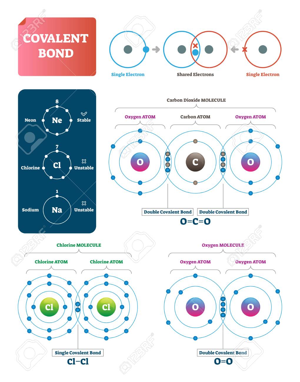 Covalent Bond Vector Illustration. Process Explanation Labeled Diagram.  Molecular Bond With Single And Shared Electrons. Carbon Dioxide, Chlorine  And Oxygen Examples With Structure And Double Pairs. Royalty Free SVG,  Cliparts, Vectors, and