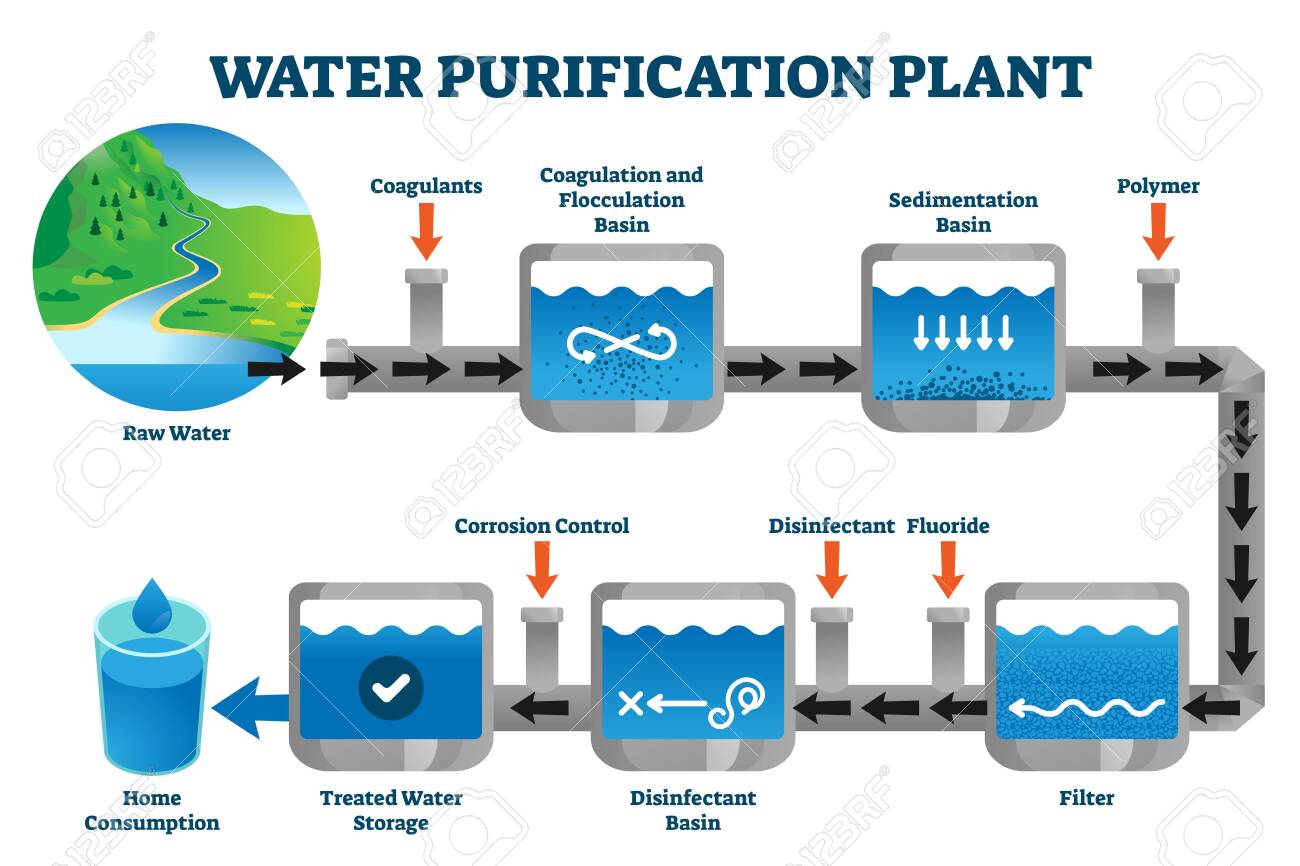 water purification steps