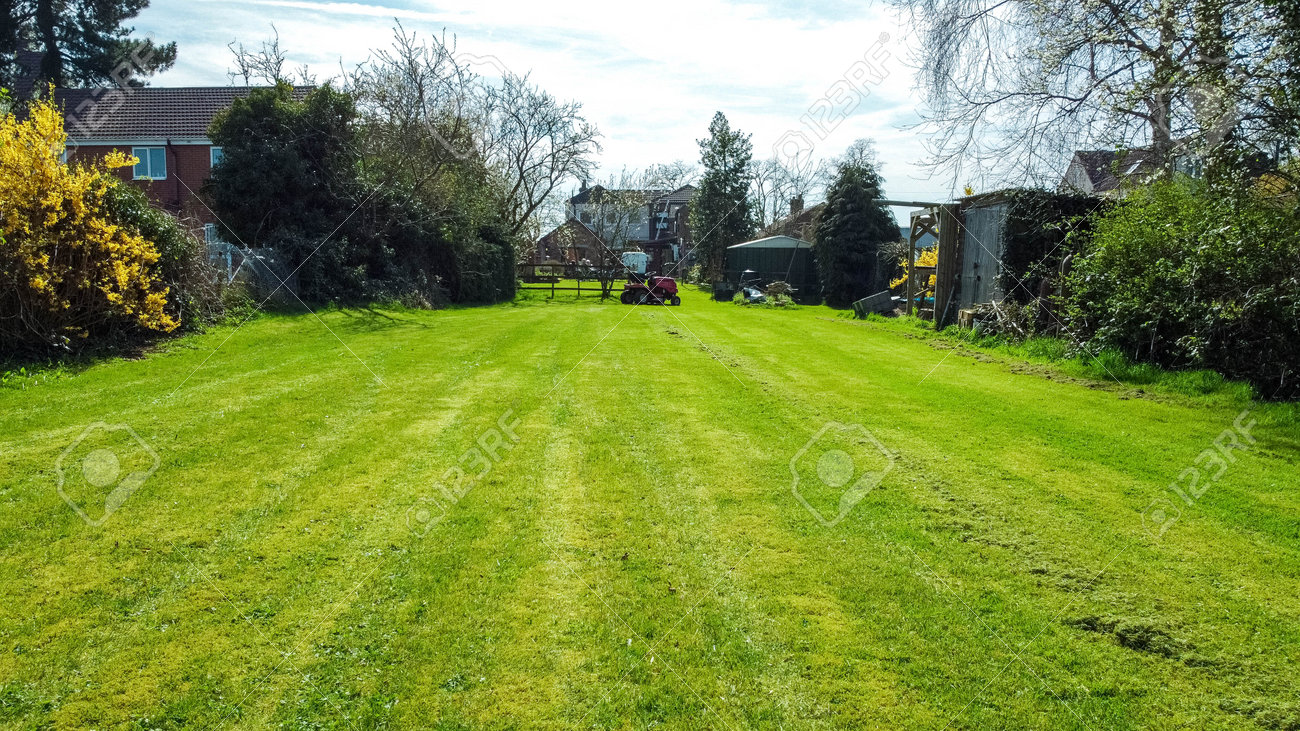 A long garden at the rear of a small property, in England, United Kingdom. - 168149673 A long garden at the rear of a small property, in England, United Kingdom. - 168149673