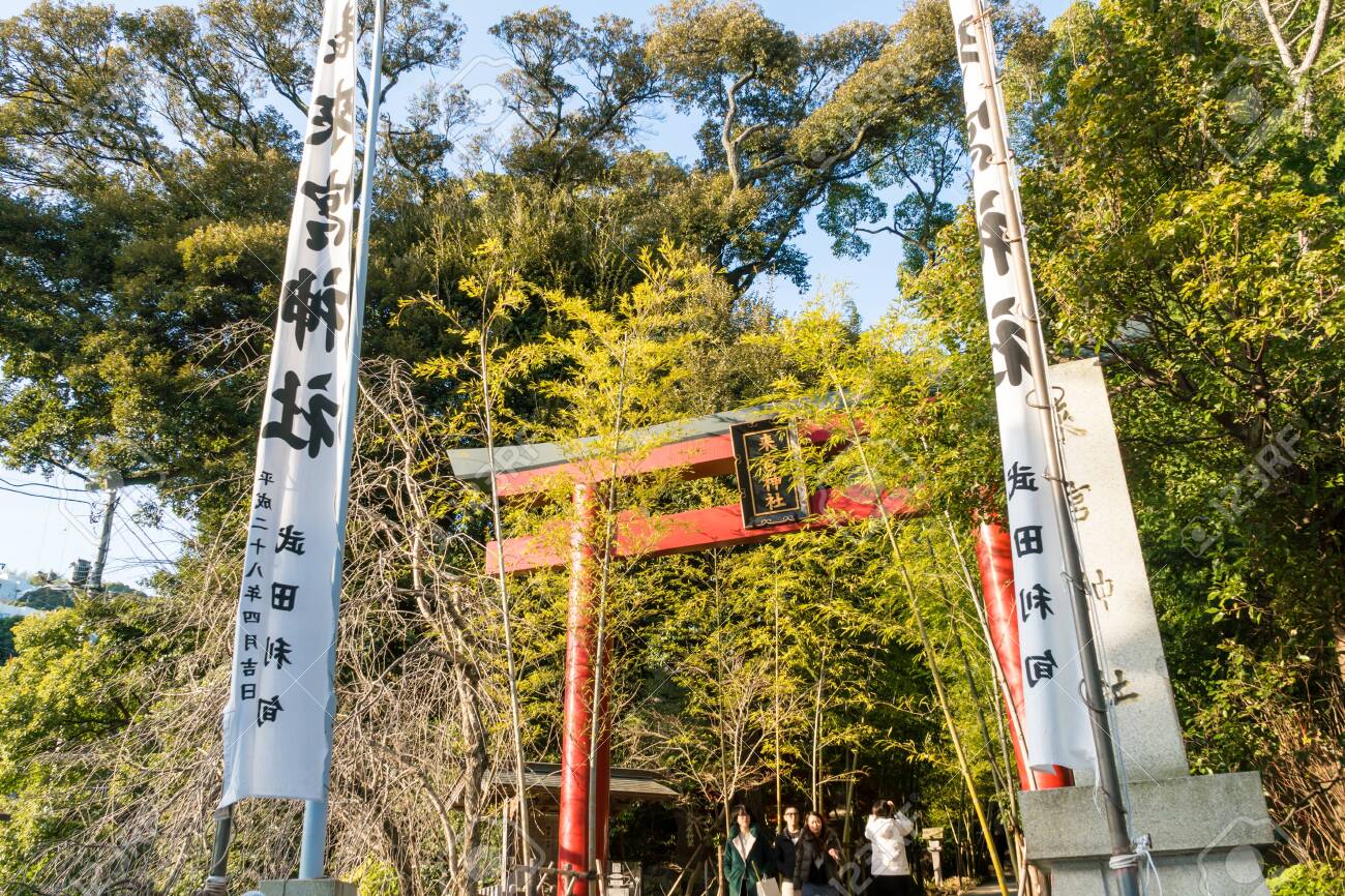 Atami Shrine, Shizuoka Prefecture - 136572860 Atami Shrine, Shizuoka Prefecture - 136572860