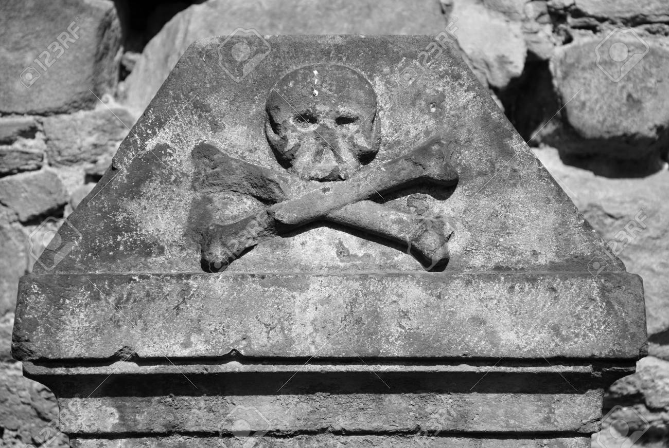 etiam-dictum-ipsum-a-felis