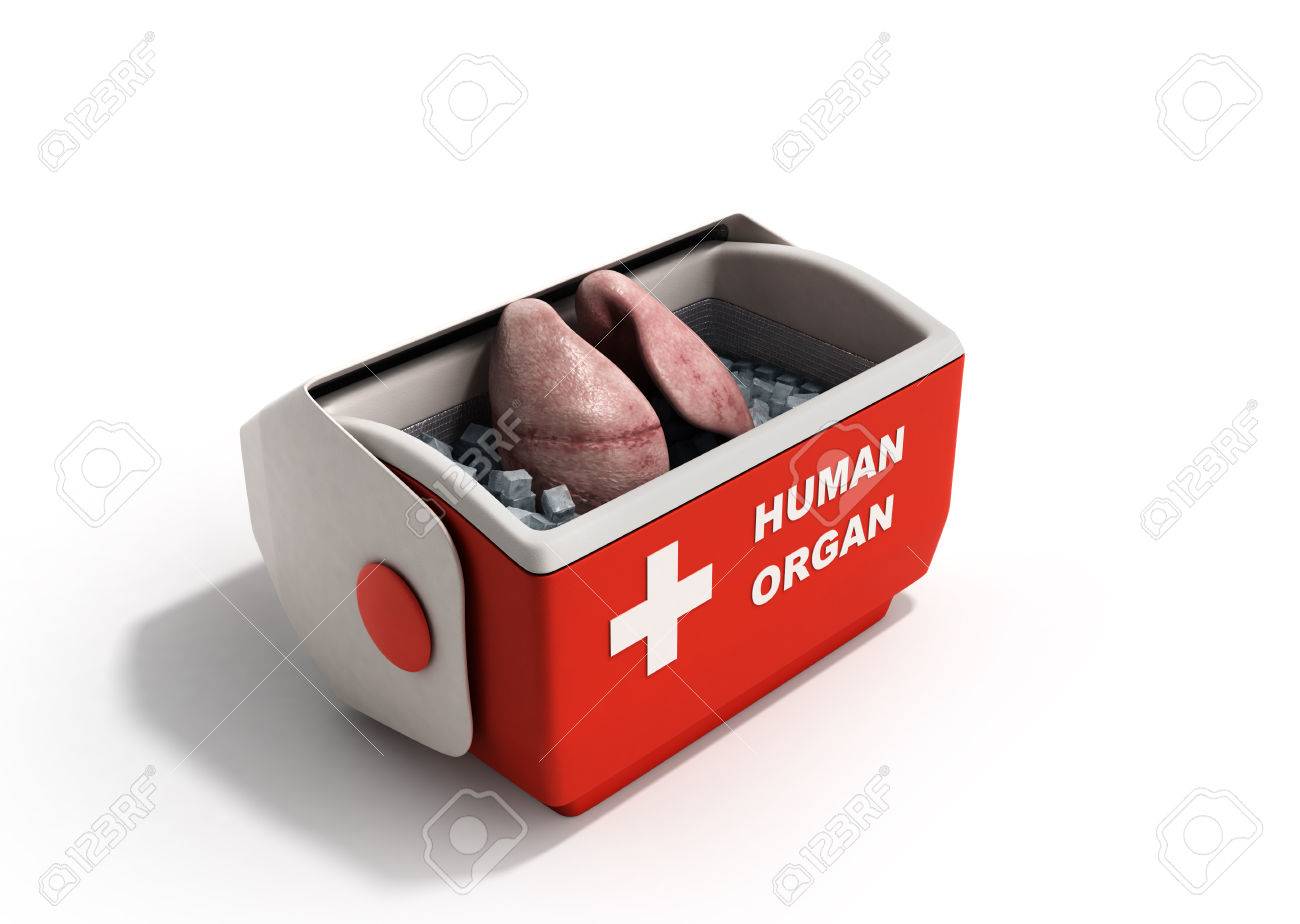 Kühlschrank In Rot : Organ transportkonzept öffnen menschliche organ kühlschrank box Kühlschrank In Rot : Organ transportkonzept öffnen menschliche organ kühlschrank box