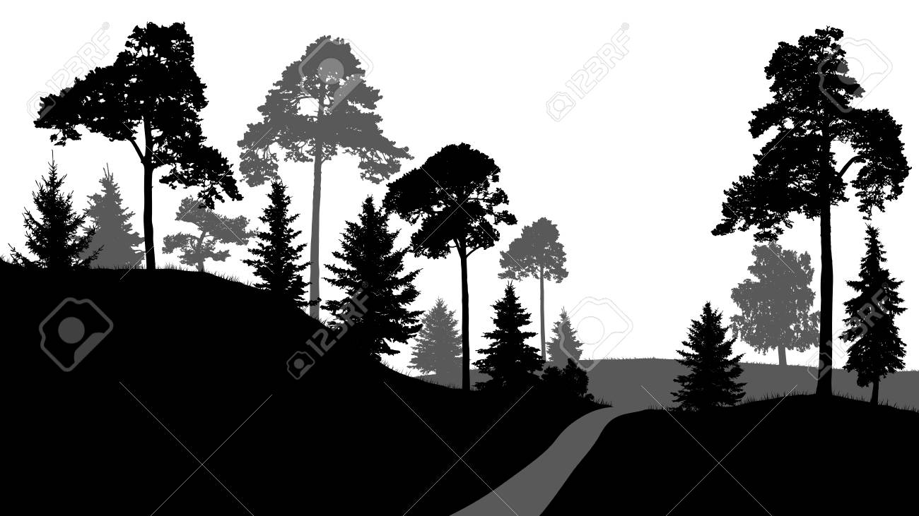 forest path exit from the forest trees silhouette vector on trees silhouette vector