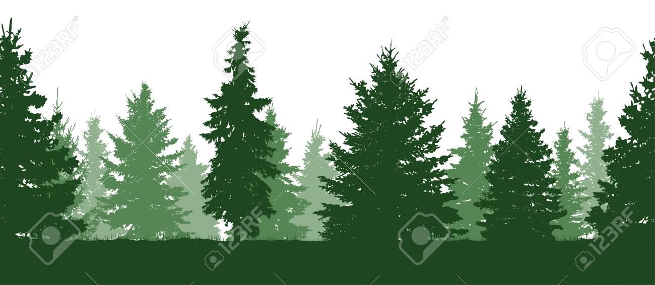 seamless pattern forest green fir trees silhouette vector royalty trees silhouette vector