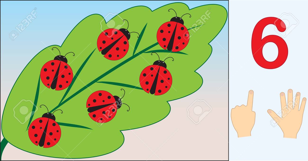 Ladybugs. Number 6 (six). Learning Counting, Mathematics. Education For  Kids. Vector Illustration. Royalty Free SVG, Cliparts, Vectors, and Stock  Illustration. Image 116567628., image size:1300x683