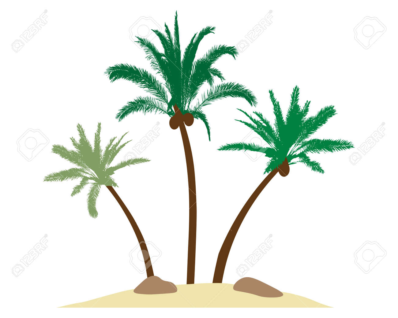 Beautiful palm trees with coconuts on island, sand, stones. Vector illustration - 164195252 Beautiful palm trees with coconuts on island, sand, stones. Vector illustration - 164195252