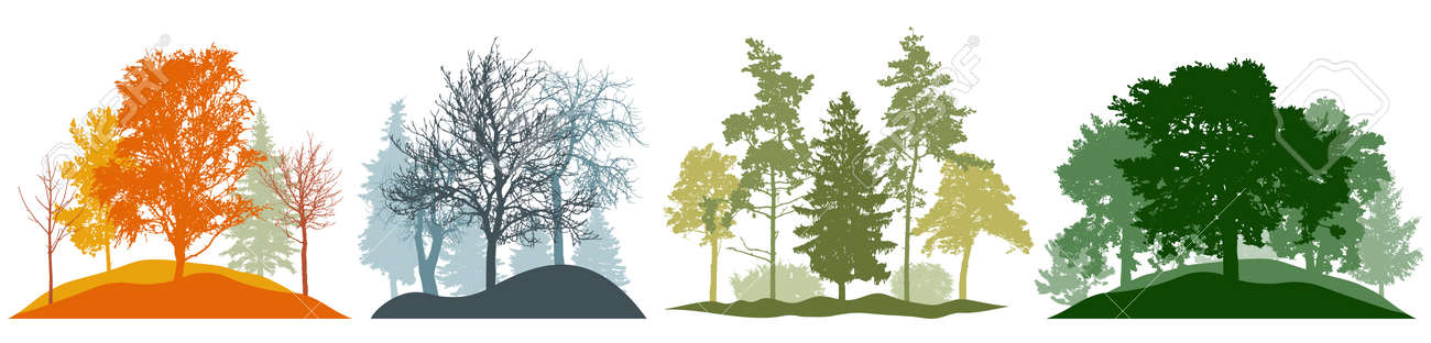 Four season, autumn and winter and spring and summer, set. Silhouette of beautiful nature, landscape. Many different trees. Vector illustration. - 164644859 Four season, autumn and winter and spring and summer, set. Silhouette of beautiful nature, landscape. Many different trees. Vector illustration. - 164644859