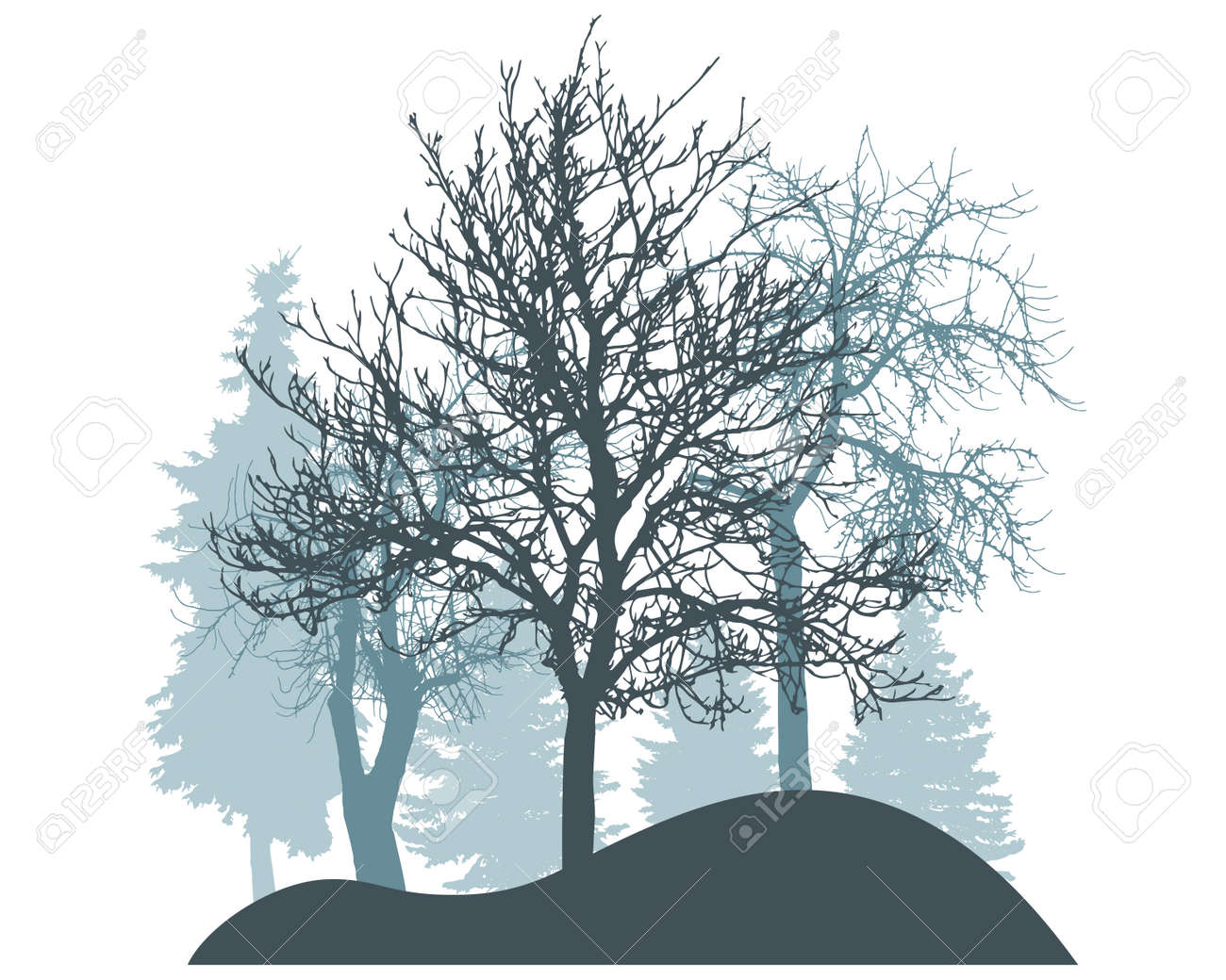 Winter season, silhouette of snowy fir trees, trees. Beautiful nature, woodland. Vector illustration - 164642174 Winter season, silhouette of snowy fir trees, trees. Beautiful nature, woodland. Vector illustration - 164642174