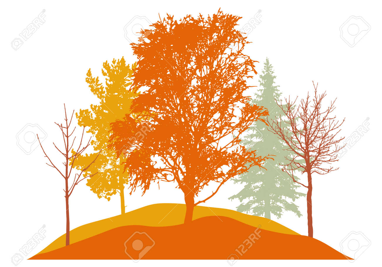 Autumn season, silhouette of birch, trees, fir trees and other. Beautiful nature, woodland. Vector illustration - 164642180 Autumn season, silhouette of birch, trees, fir trees and other. Beautiful nature, woodland. Vector illustration - 164642180