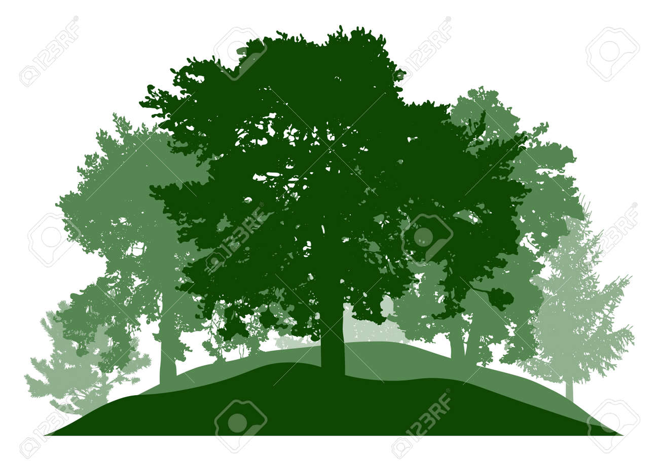 Summer season, silhouette of oak, poplar, pine, fir trees. Beautiful nature, woodland. Vector illustration - 164644846 Summer season, silhouette of oak, poplar, pine, fir trees. Beautiful nature, woodland. Vector illustration - 164644846