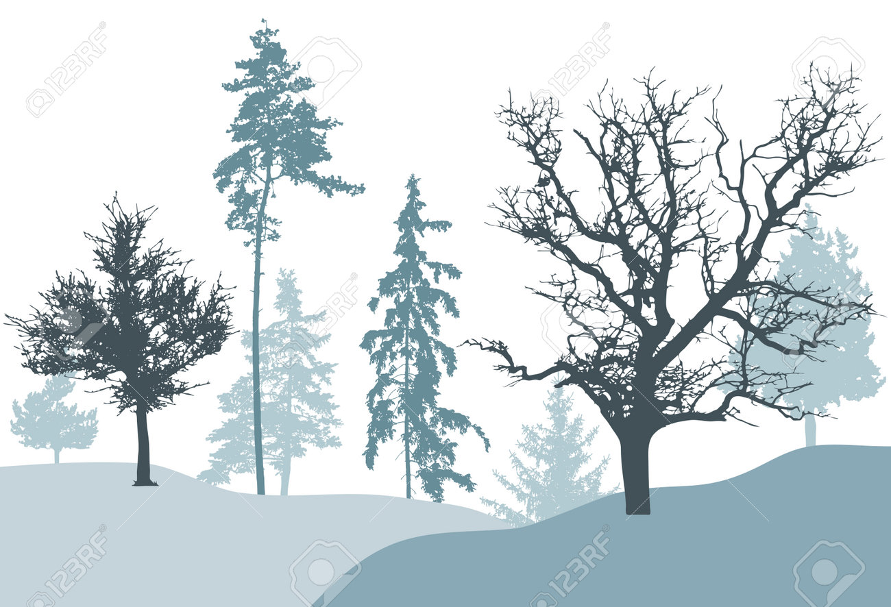 Winter forest, silhouette of tree, spruce, pine. Beautiful nature, landscape. Vector illustration - 170586867 Winter forest, silhouette of tree, spruce, pine. Beautiful nature, landscape. Vector illustration - 170586867