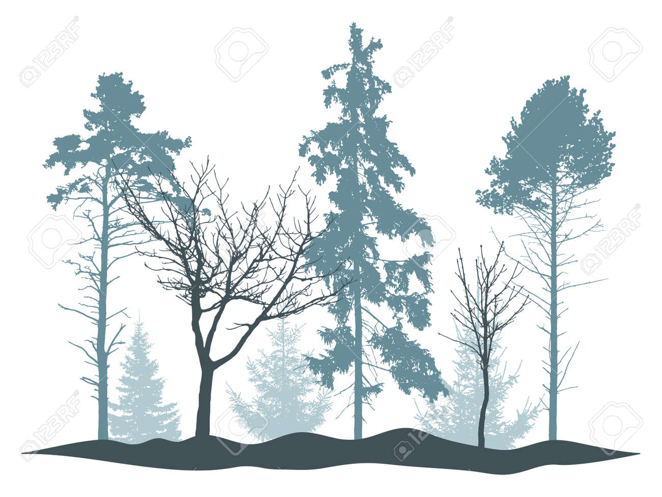 Winter woodland, silhouette of tree, spruce, pine. Beautiful nature, landscape. Vector illustration - 170586878 Winter woodland, silhouette of tree, spruce, pine. Beautiful nature, landscape. Vector illustration - 170586878