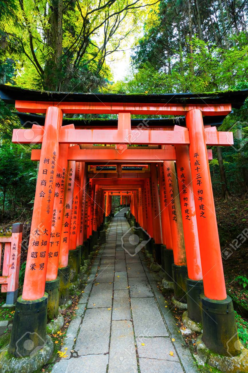 Senbon Torii At Fushimi Inari Shrine Fushimi Inari Taisha Fushimi Inari Shrine Is The Shrine Of The God Inari This Located In Fushimi Ward In Kyoto Japan Stock Photo Picture And Royalty Free Image