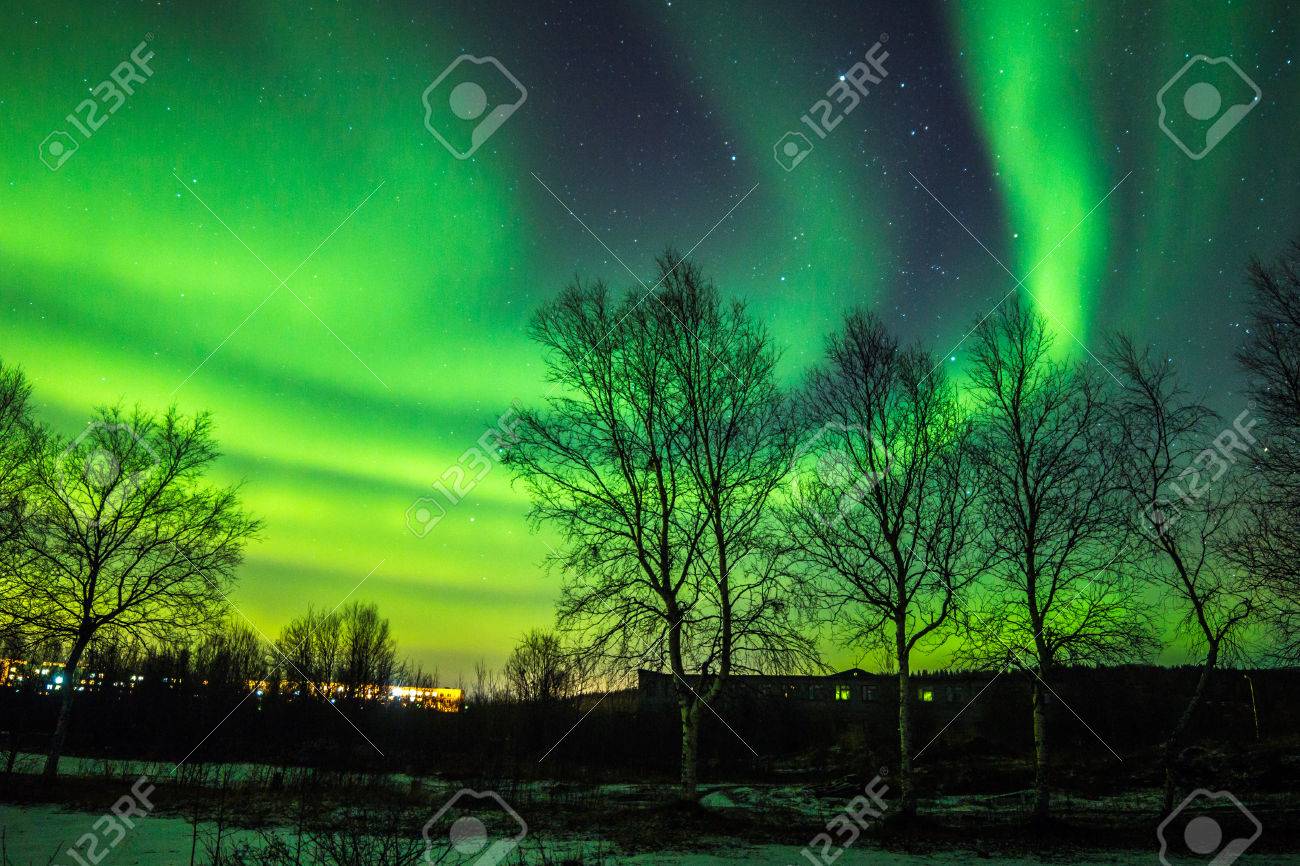 Bright Northern Lights In Starry Sky Over Trees Stock Photo ...