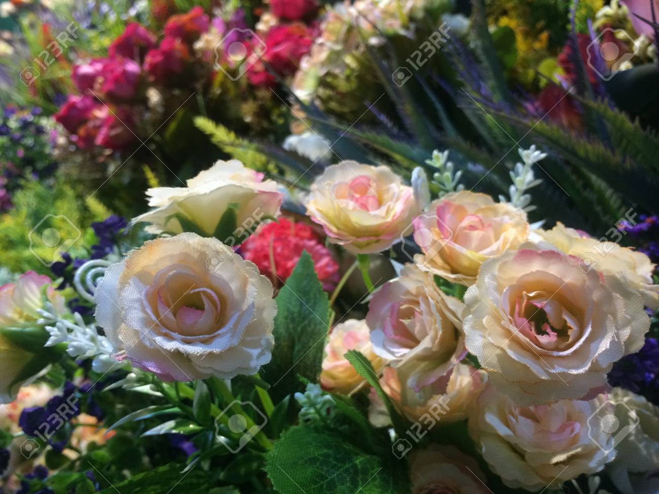 etiam-dictum-ipsum-a-felis