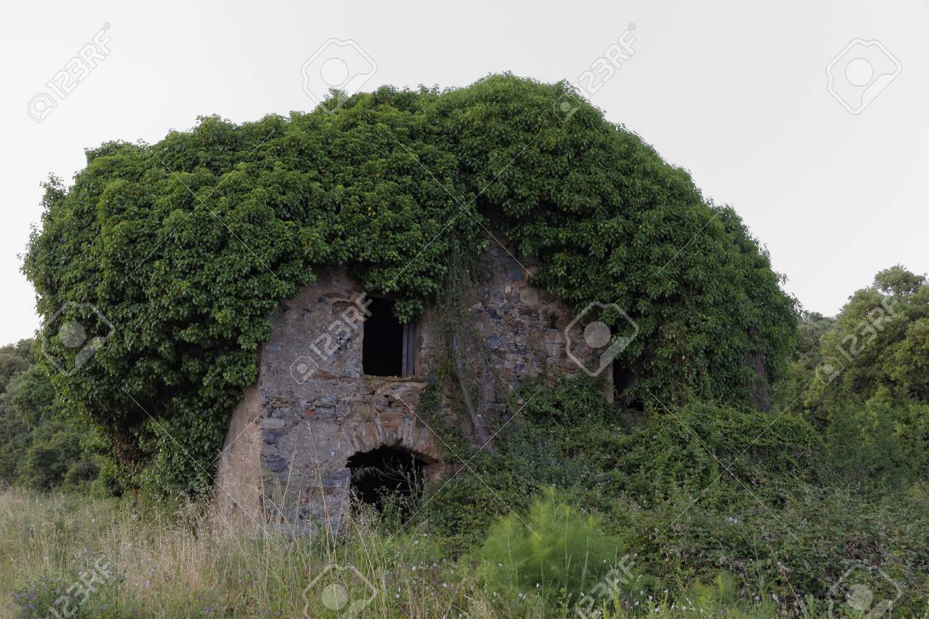 Vieille Maison En Ruine à Moriani Plage San Nicolao Corse France