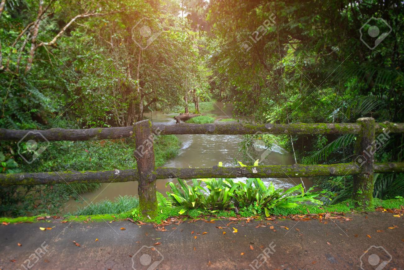 Save Money Use Trees As Fence Posts Hobby Farms
