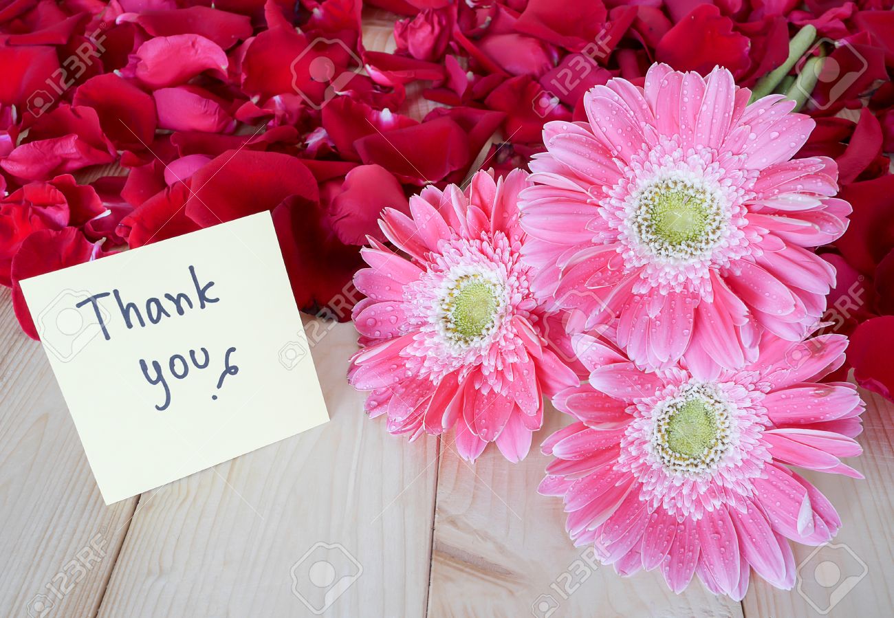 Pink Flower, Red Rose And Word "Thank You" On Colorful Note Paper.. Stock Photo, Picture And Royalty Free Image. Image 52944474.