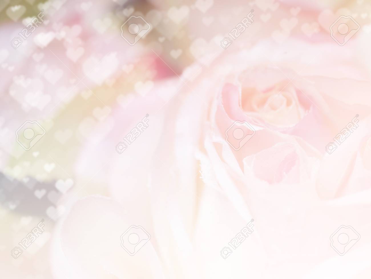 ハートのボケ味と美しい花の背景 カラー フィルター効果で壁紙が作られました の写真素材 画像素材 Image