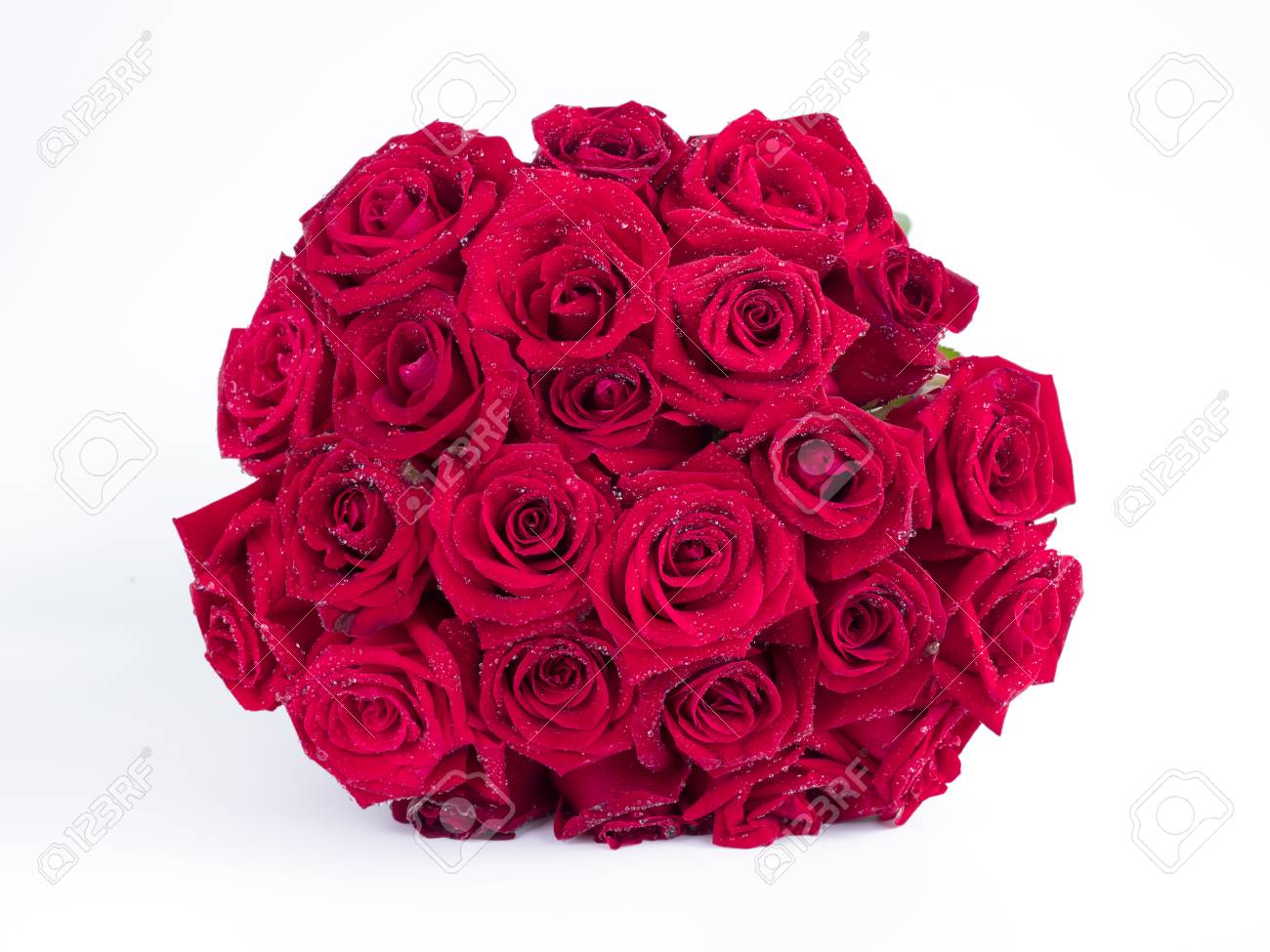 Closeup Bouquet De Fleur Rose Rouge Avec Des Gouttes De Rosée Deau Sur Fond Isolé Blanc