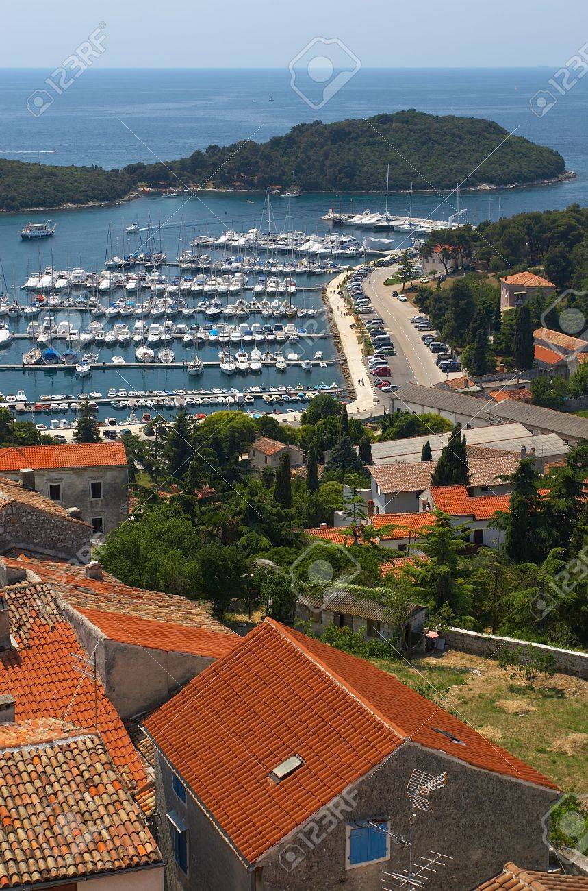 etiam-dictum-ipsum-a-felis