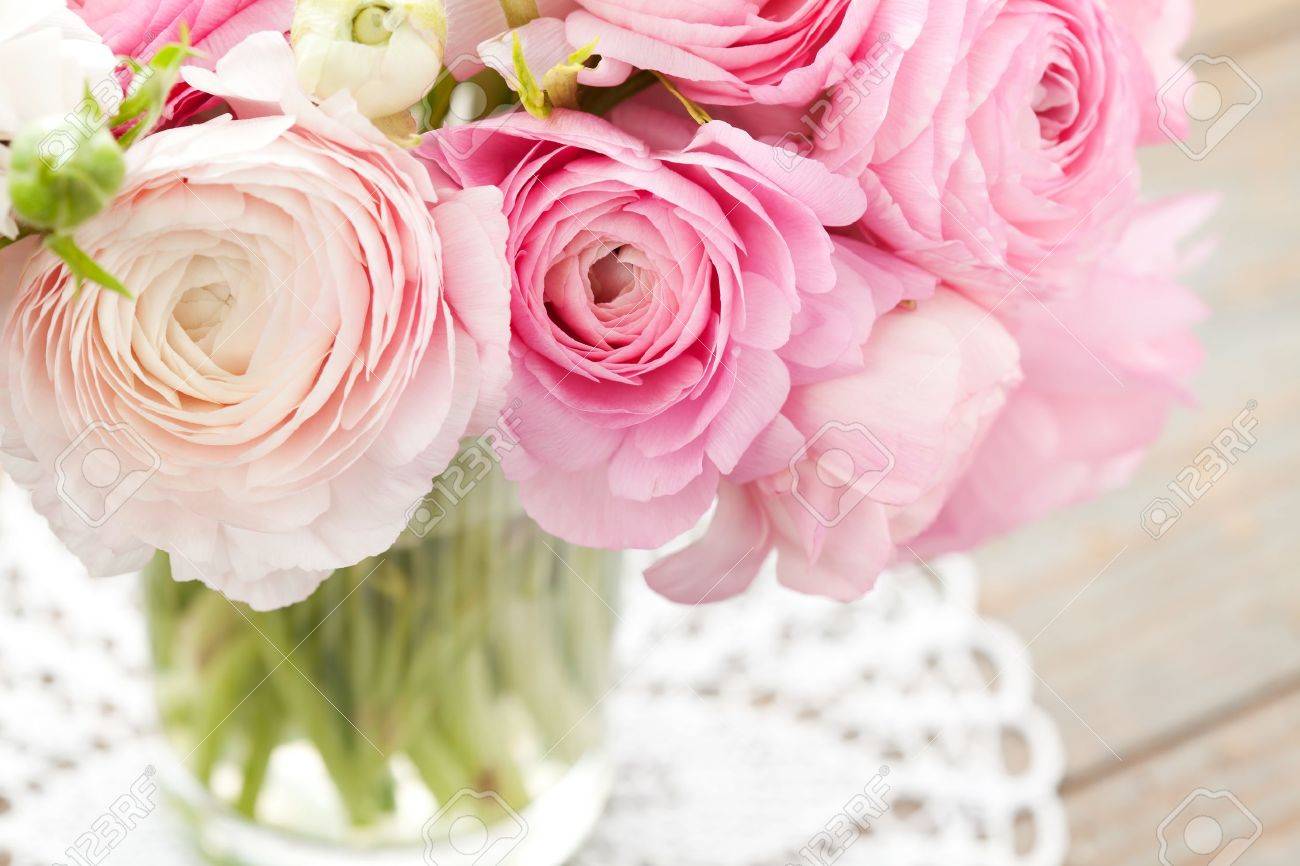 Pink Ranunculus In Vase Stock Photo Picture And Royalty Free Image Image