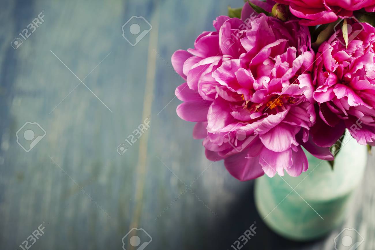 ターコイズ ブルーの花瓶で美しいマゼンタ牡丹 の写真素材 画像素材 Image ターコイズ ブルーの花瓶で美しいマゼンタ牡丹 の写真素材 画像素材 Image