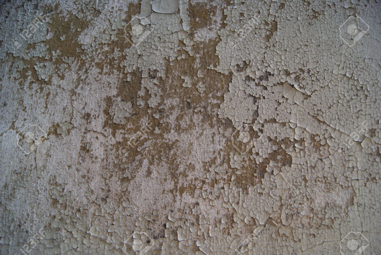 Worn off. Worn off. Off wear одежда. Counter strike source v34. Phrasal verbs в английском.