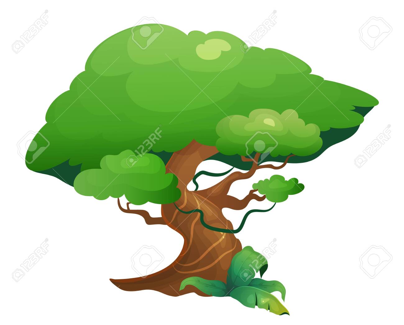 Jungle Vegetation Cartoon Vector Illustration. Rainforest Tree With Exotic  Shrubes. Lush Subtropical Nature. Tropical Greenery Flat Color Object.  Exotic Foliage Isolated On White Background Royalty Free SVG, Cliparts,  Vectors, and Stock Illustration., image size:1300x1044