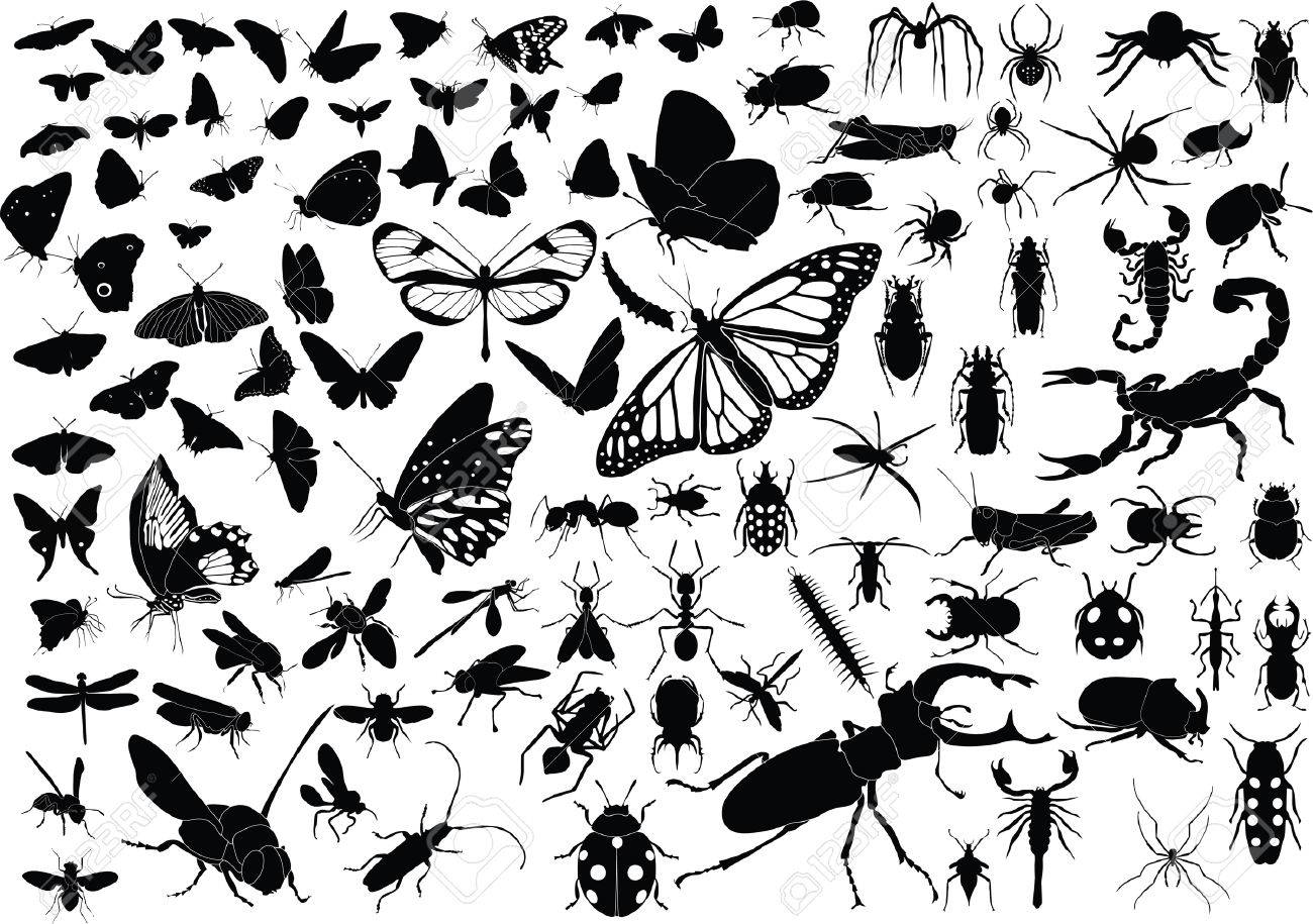 100 Vector Silhouettes Of Insects Butterflies Bugs Flies Bees Ets Royalty Free Cliparts Vectors And Stock Illustration Image