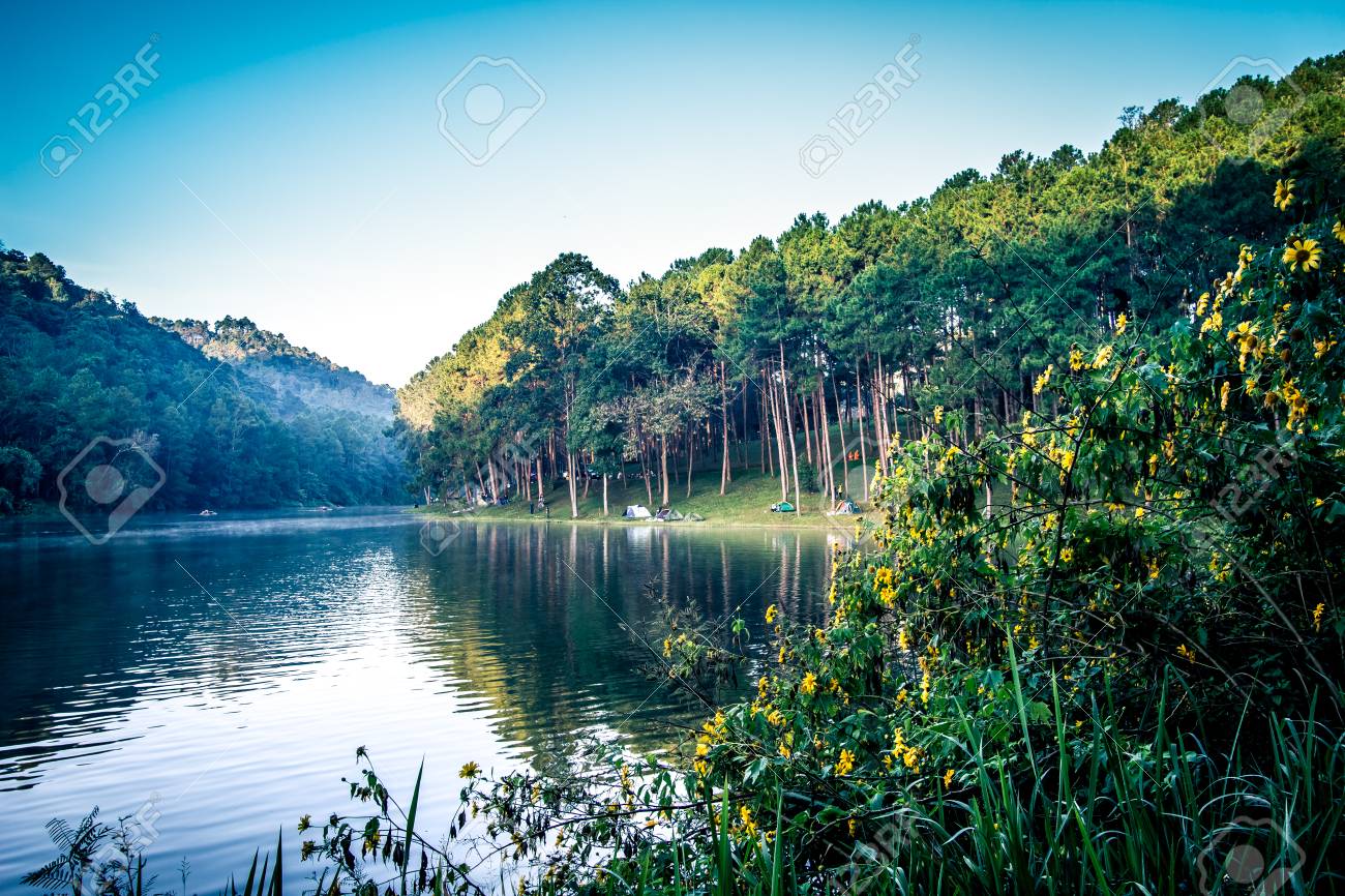 Romántico Paisaje Matutino De Huai Pang Tong Embalse Y Bosques De Pinos En  Pang Oung, Proyecto De Desarrollo Real De Pang Tong, Ban Ruam Thai, Mae  Hong Son, Norte De Tailandia Fotos,