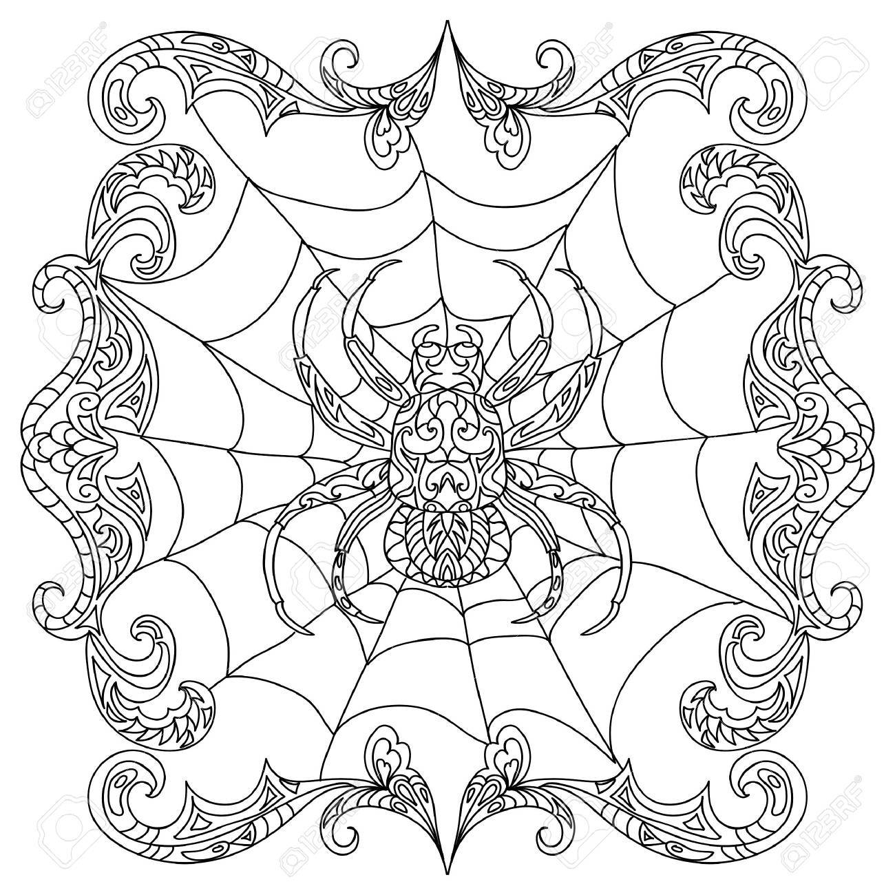 spider coloring page royalty free cliparts vectors and stock