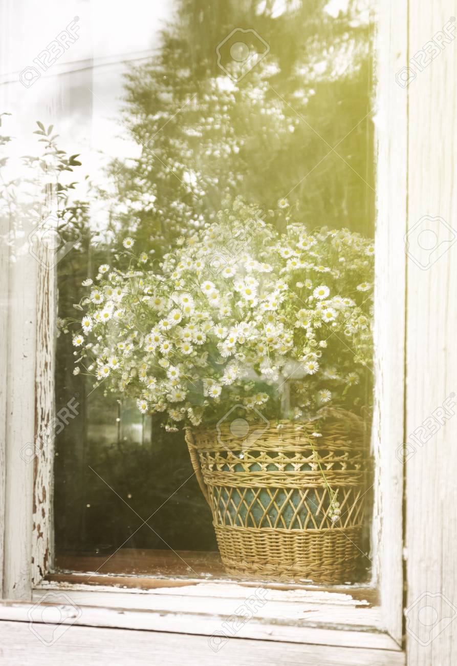 Bouquet Of Daisies In A Basket In An Old Rustic Window Frame Stock Photo Picture And Royalty Free Image Image 121351885