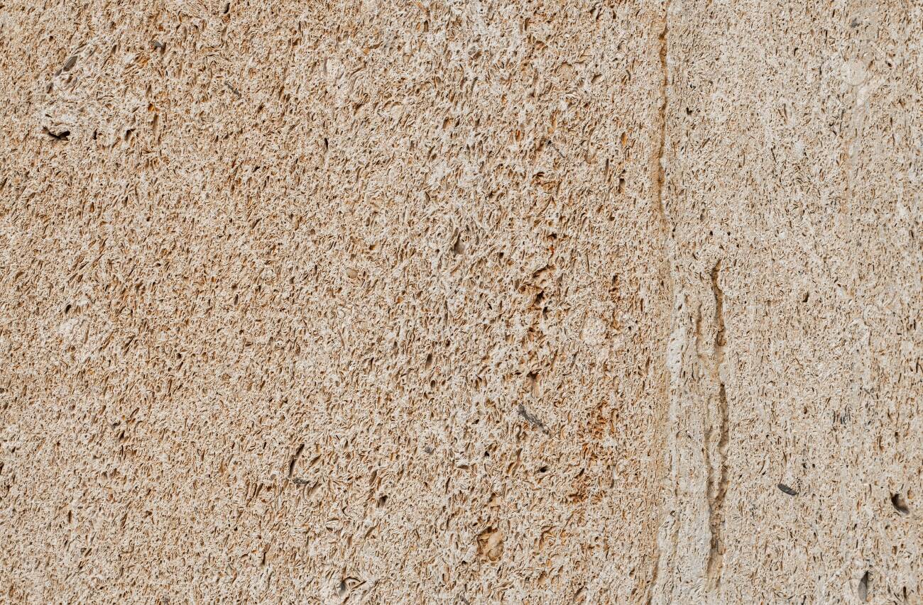 Shell Rock Wall Texture Coquina Stone Background Stock Photo