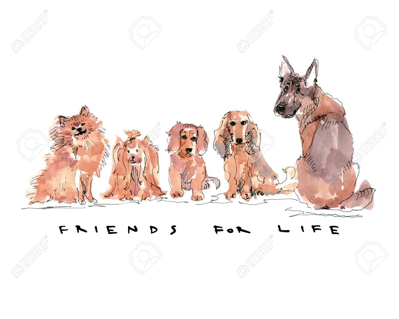 Dogs sitting in a row with text friends for life - 109991121 Dogs sitting in a row with text friends for life - 109991121