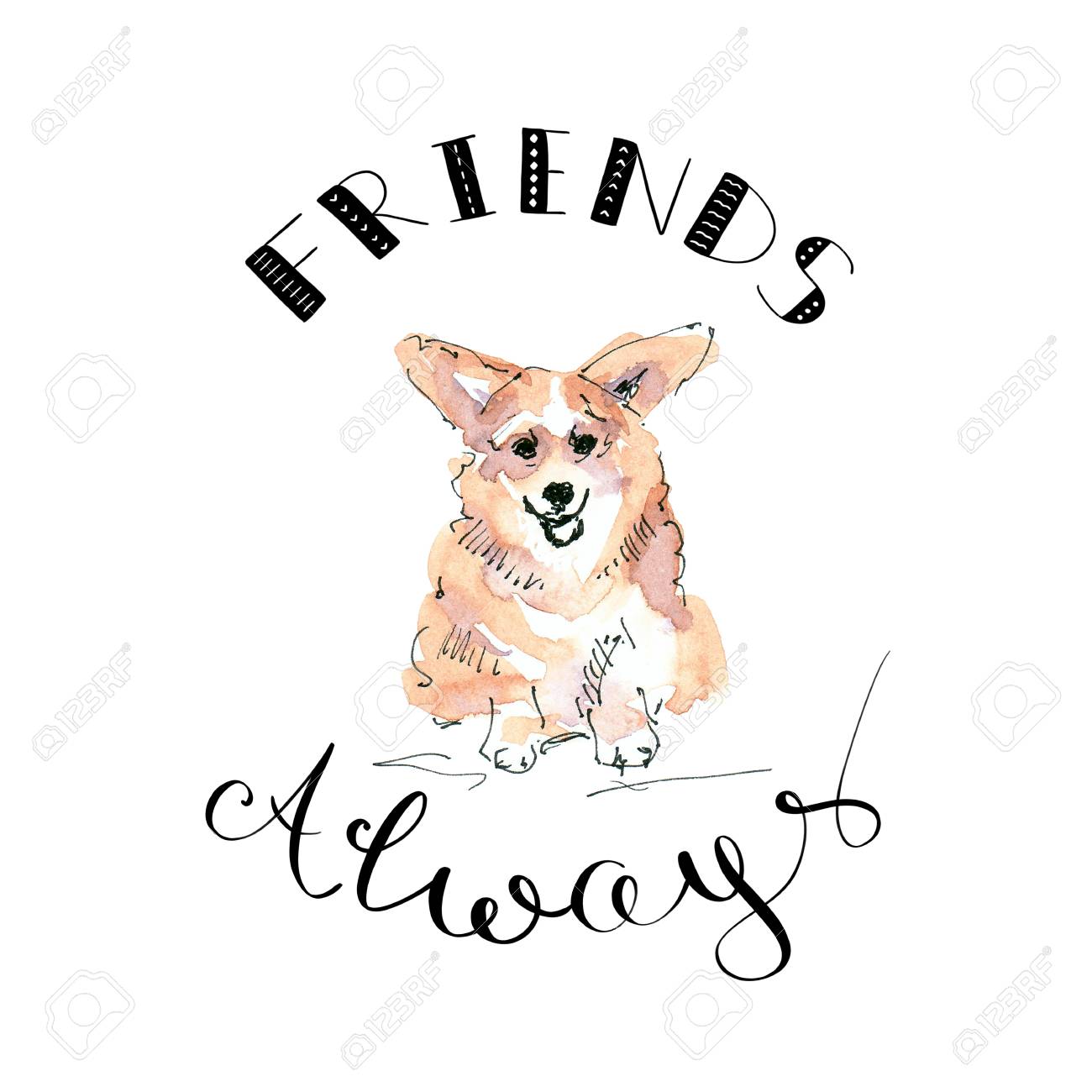 Illustration of Corgi dog with lettering friends always - 109991124 Illustration of Corgi dog with lettering friends always - 109991124