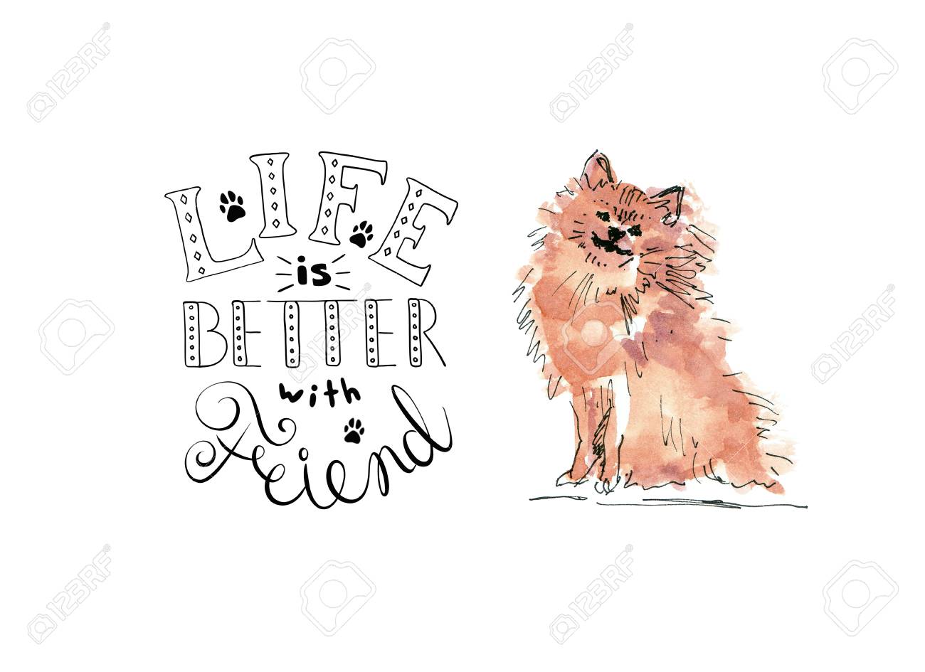 Illustration of Pomeranian Spitz friend dog with text - 109991123 Illustration of Pomeranian Spitz friend dog with text - 109991123