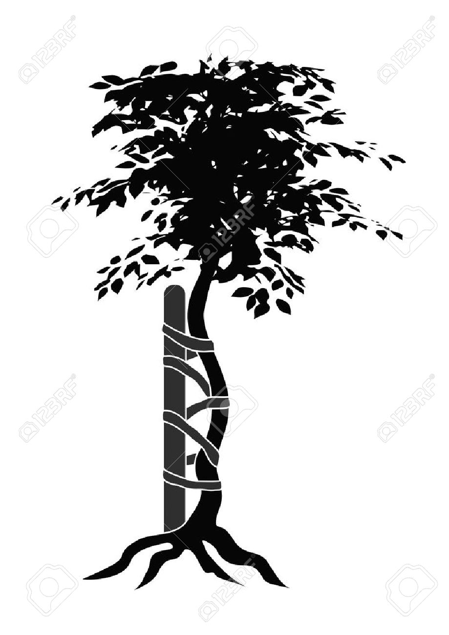 Illustration of the typical symbol for orthopedic medicals or doctors showing a buckled tree - 7025900 Illustration of the typical symbol for orthopedic medicals or doctors showing a buckled tree - 7025900