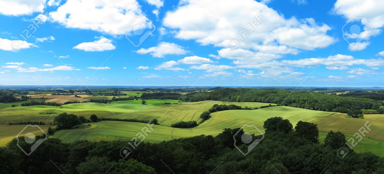 wavy fields in agricultural panoramic landscape