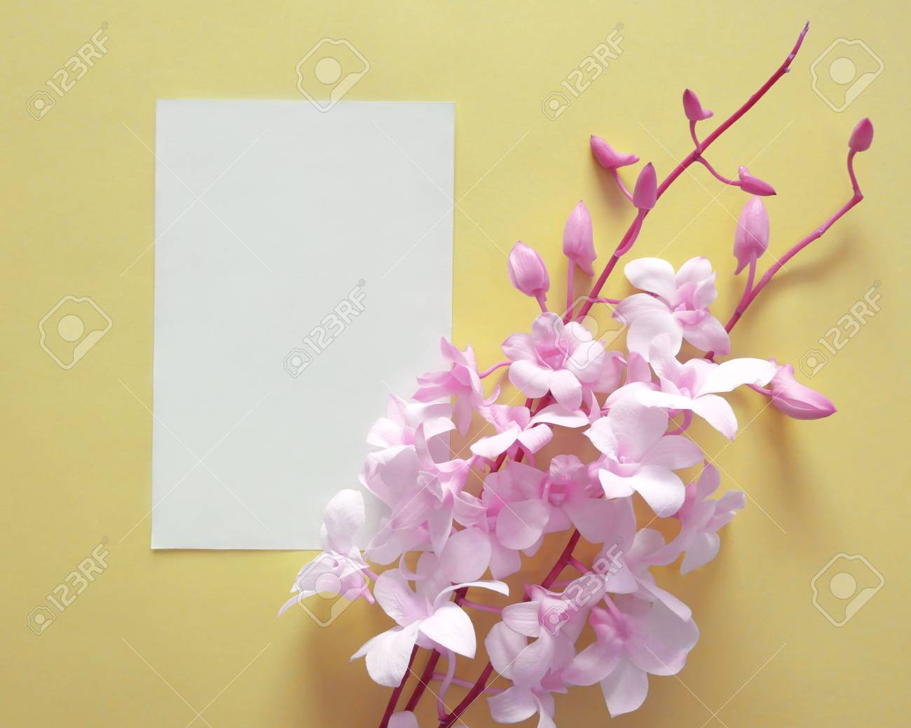 bouquet of pink orchid flowers with paper card note creative paper orchid flower