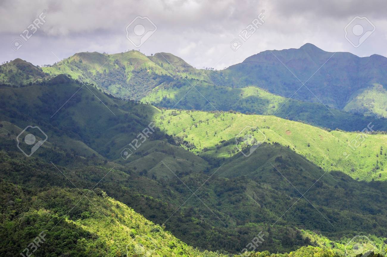 etiam-dictum-ipsum-a-felis