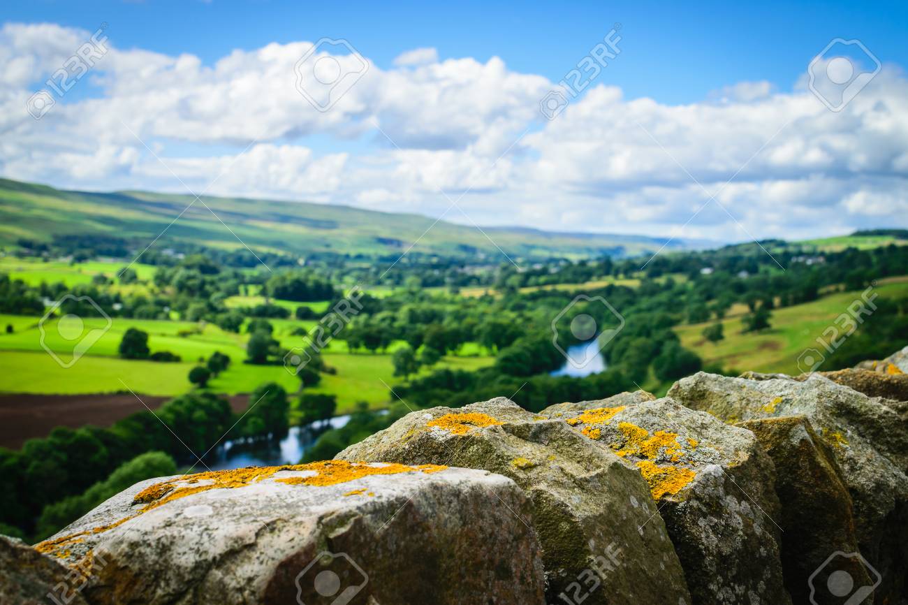 etiam-dictum-ipsum-a-felis