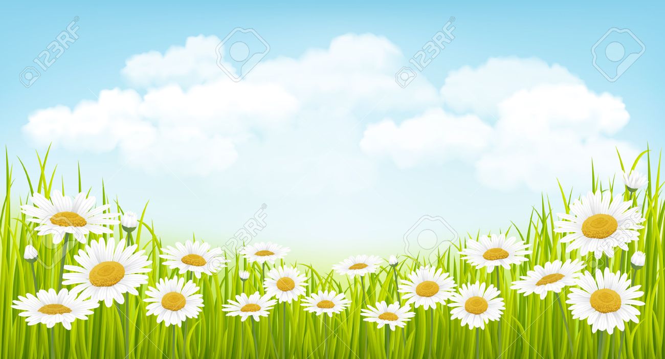 green grass blue sky flowers heart shaped spring background with green grass flowers and blue sky stock vector 54881201 background with green grass flowers and blue sky royalty green grass blue sky flowers heart shaped spring background with green grass flowers and blue sky stock vector 54881201 background with green grass flowers and blue sky royalty